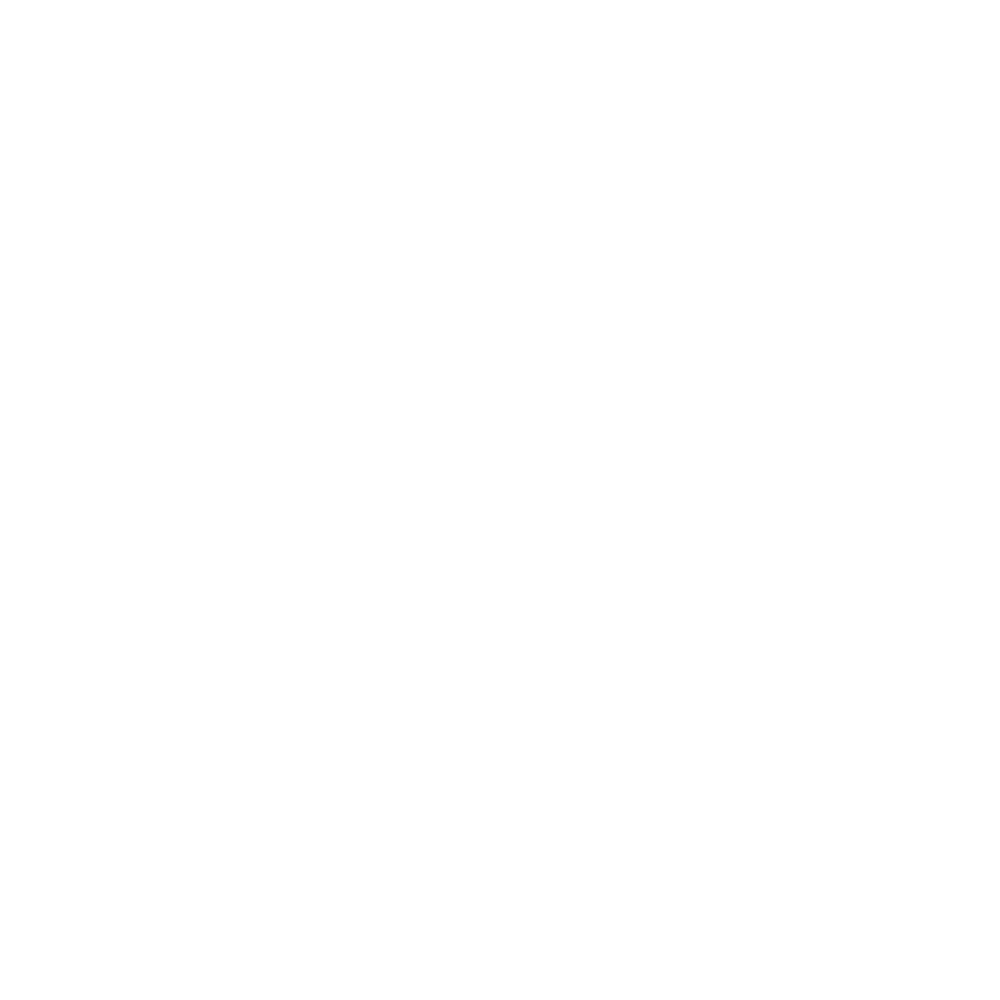 Celestra Logo